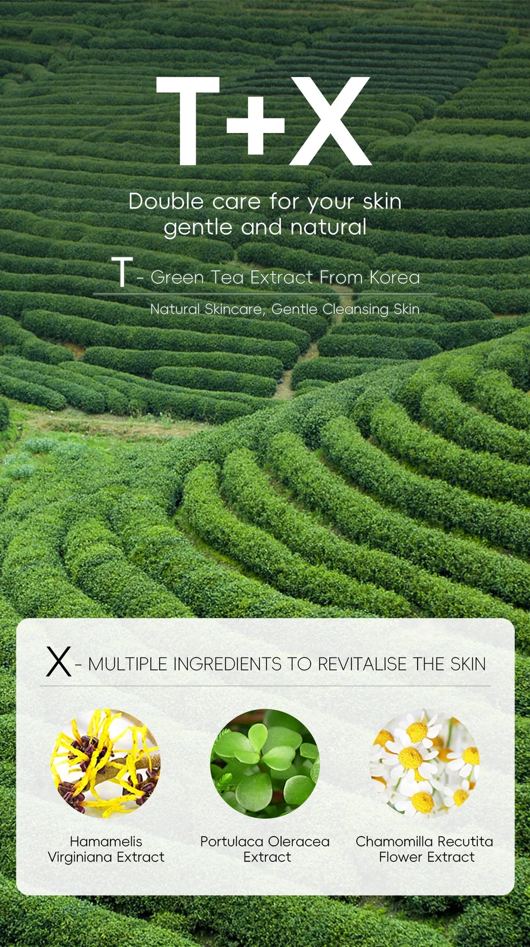 Green Tea Facial Cleanser 50g Skin Deep Cleansing Moisturizing Blackhead Removal Skincare Face Wash Foam Face Cleanser Skin Care